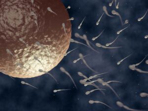 spermatozoïdes qualité OATS