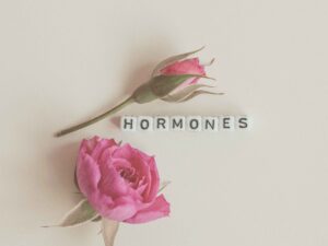 hormones du cycle mesntruel